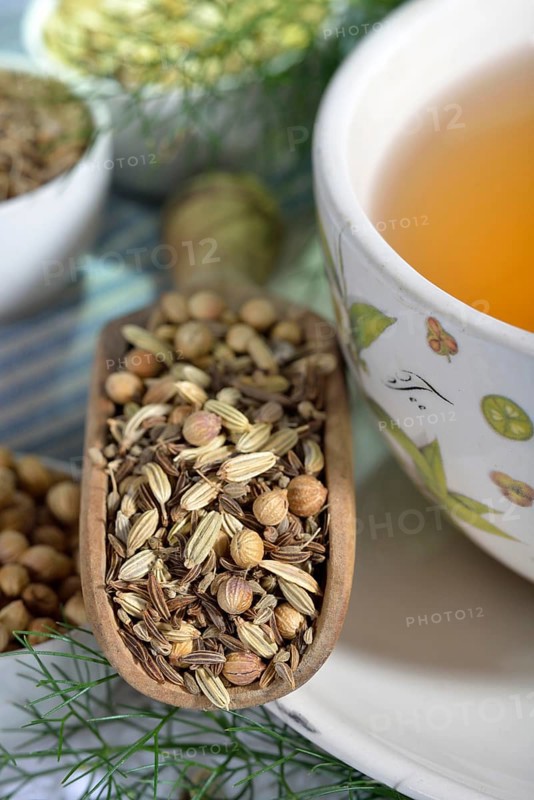 Tea of the Four Winds
