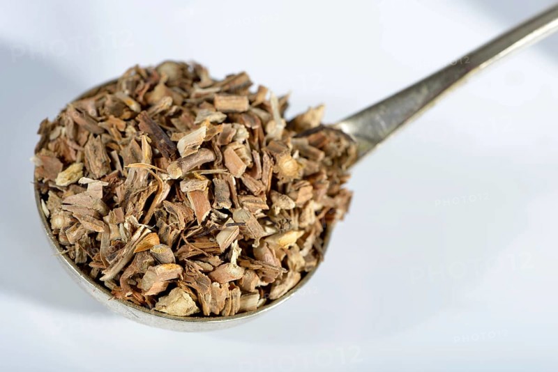 Sarsaparilla roots