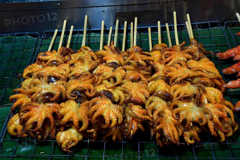Grilled squid skewers