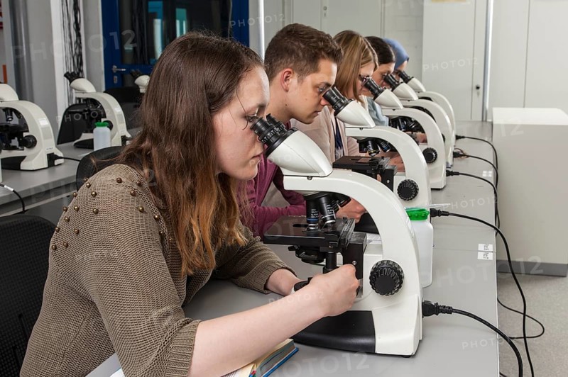 Students at the microscopy course in the Faculty of Biology at the University of Duisburg-Essen