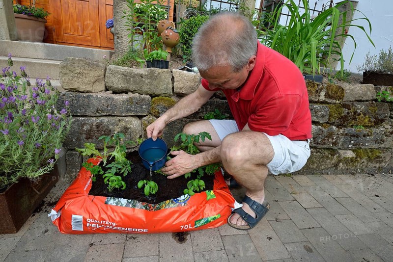 Planting bag with potting soil