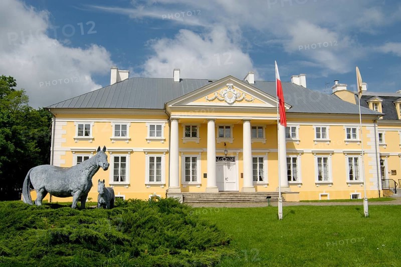 Filly farm