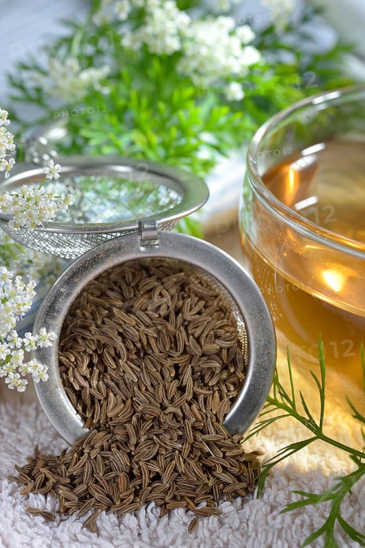 Caraway