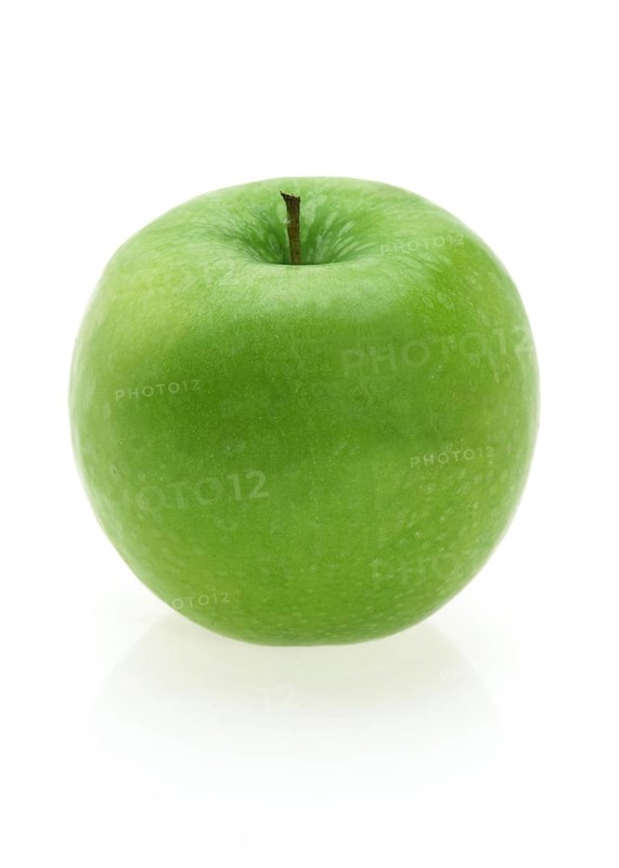 Malus domestica