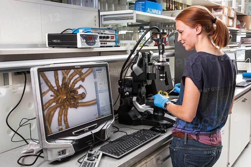 Biologist of the Aquatic Ecosystems Group