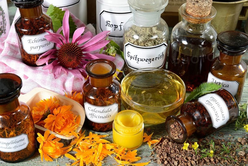 Calendula