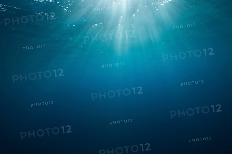 Sunbeams in the water