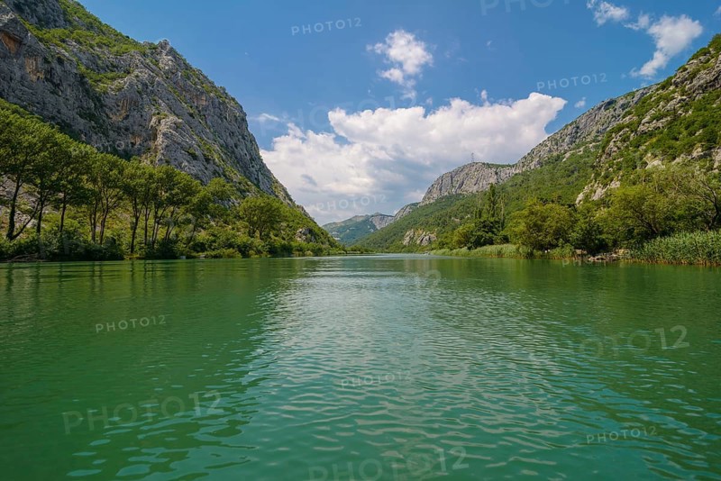 Omis