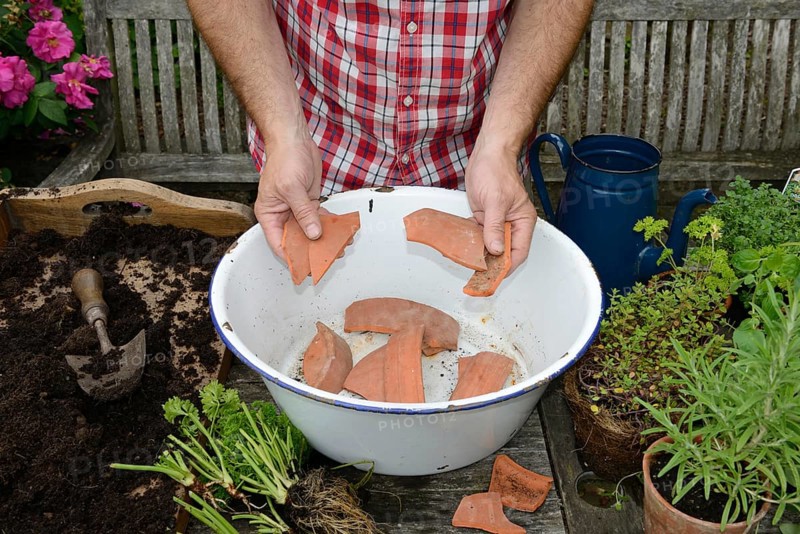 Planting of a plant pot with herbs