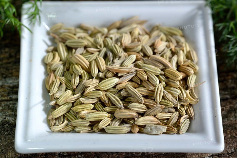 Fennelseeds