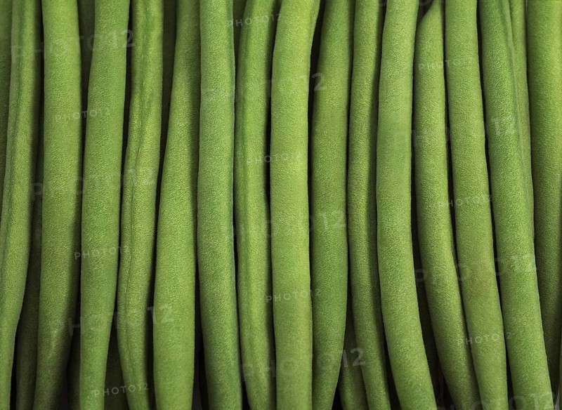 Garden bean