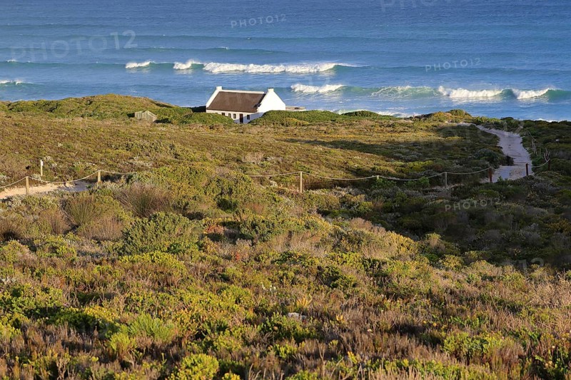 Beach house