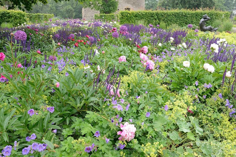Flowerbed