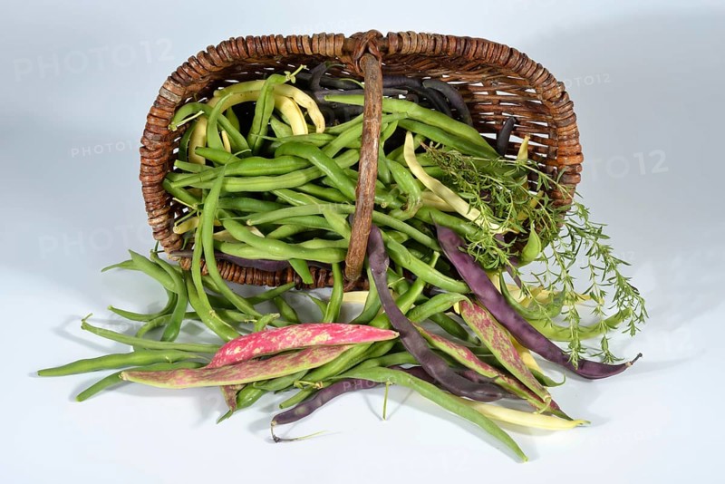 Various bush beans