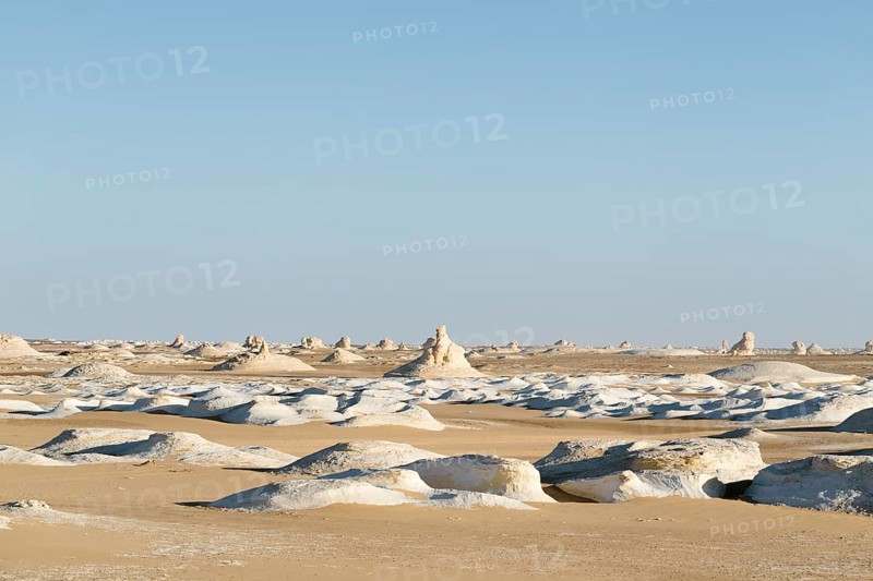 View over the white desert