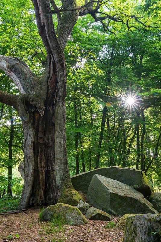 Large stone grave