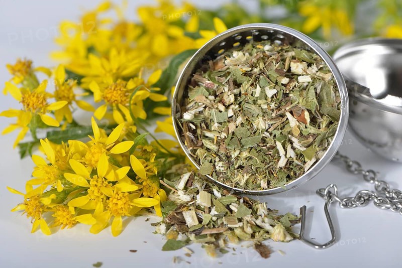 Goldenrod
