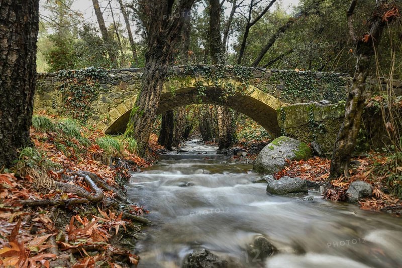 Venetian Bridge