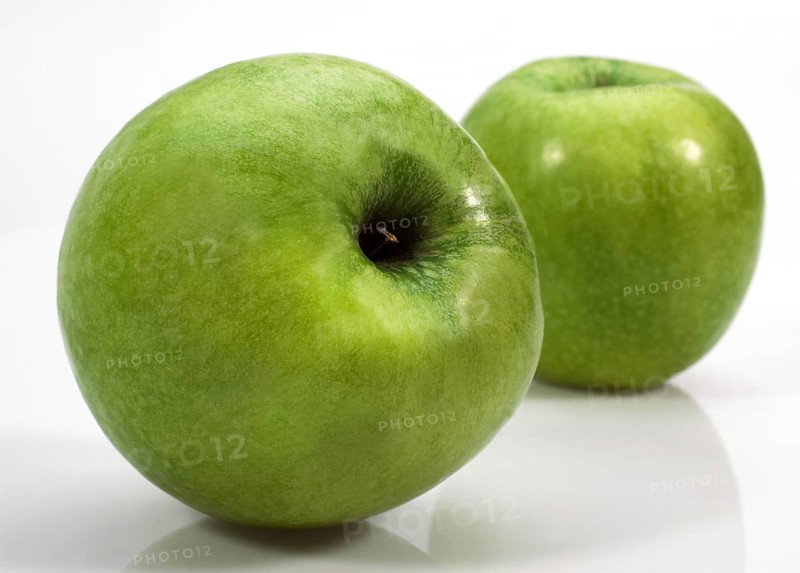 Malus domestica