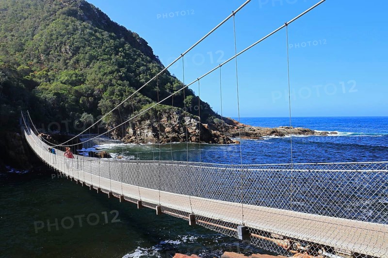 Suspension Bridge
