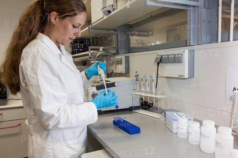 Scientist of biology pipetting in the genetic engineering area of the laboratories of the University of Duisburg-Essen