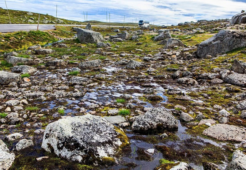 Hardangervidda National Park