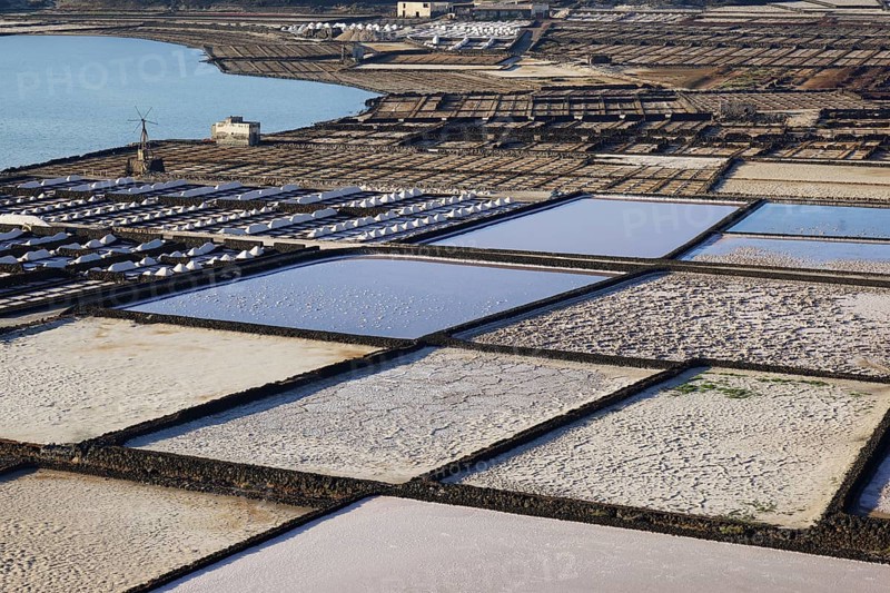 Salinas de Janubio