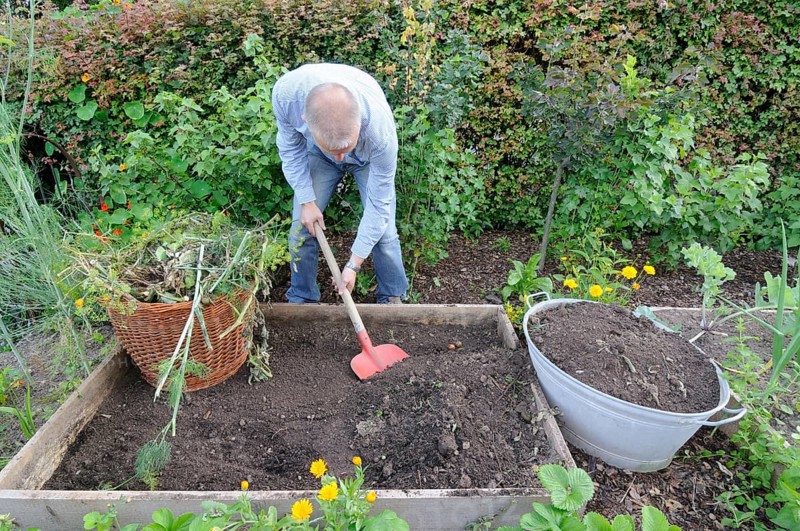 Organic garden
