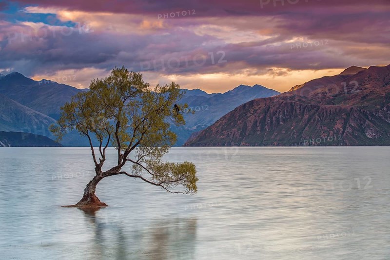 Lake Wanaka