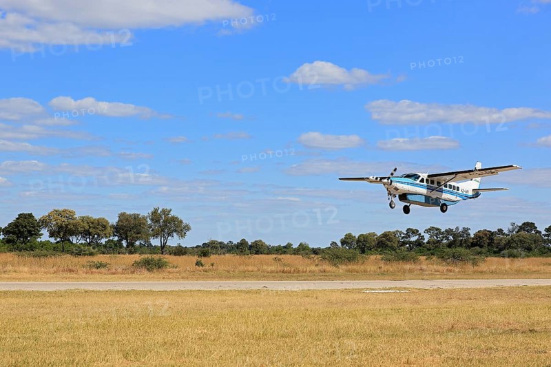 Bush plane