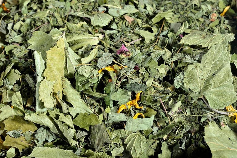 Four Season Tea