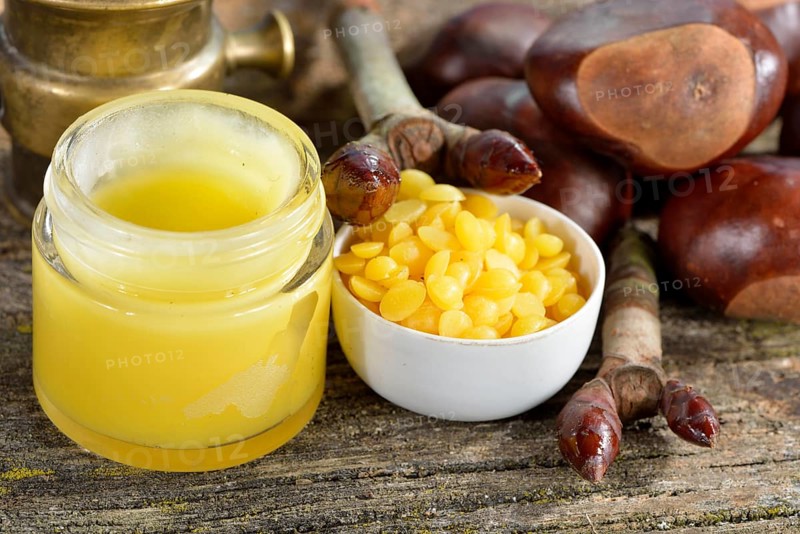 Production Chestnut bud ointment