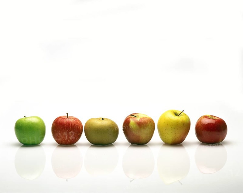 Malus domestica
