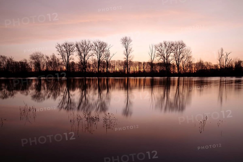 Sunrise at the Altrhein with nature reserve Bislicher Insel