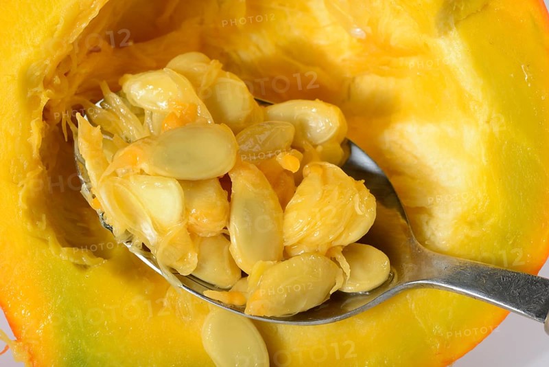Hokkaido pumpkin