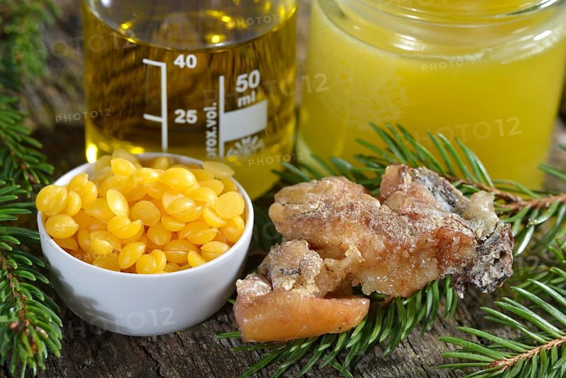 Production of spruce resin ointment