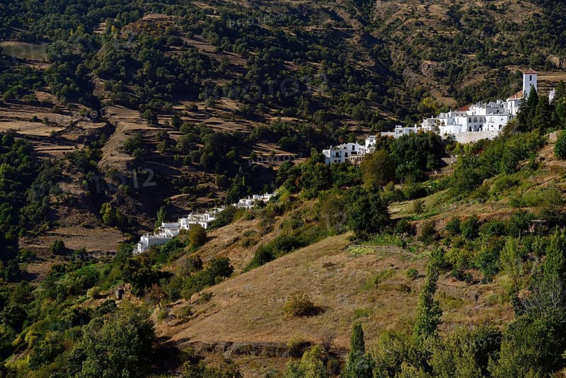 Capileira
