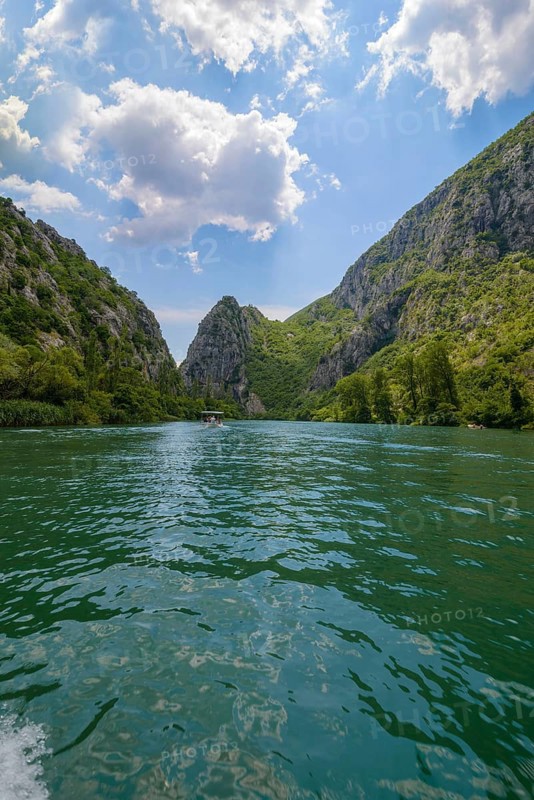 Omis