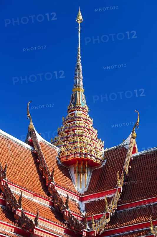 Roof ornaments and pagodas