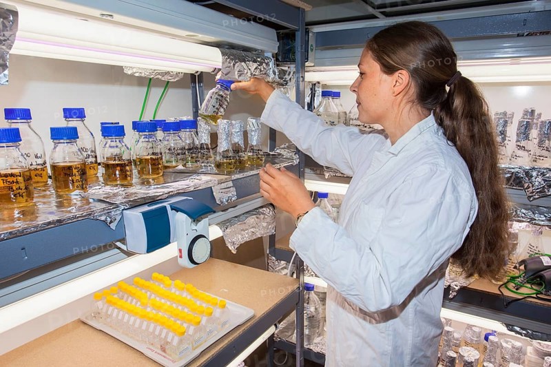 Scientist in the climate chamber for cultures in the Faculty of Biology at the University of Duisburg-Essen