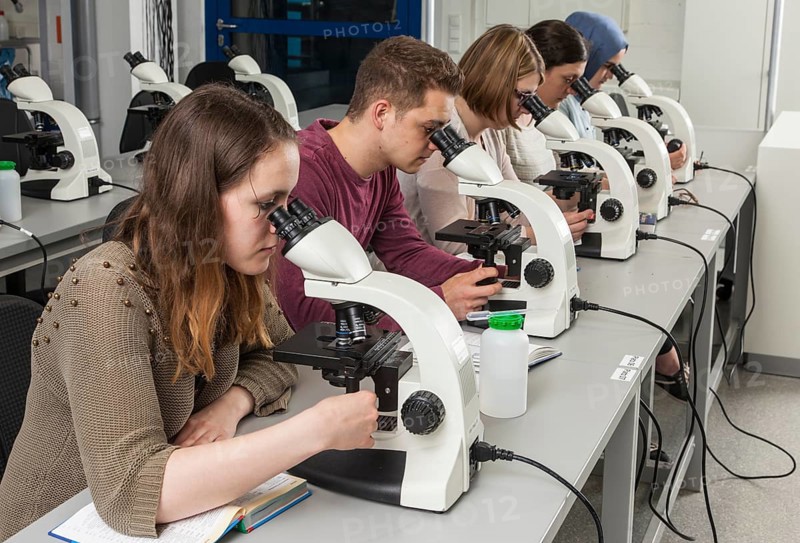 Students at the microscopy course in the Faculty of Biology at the University of Duisburg-Essen