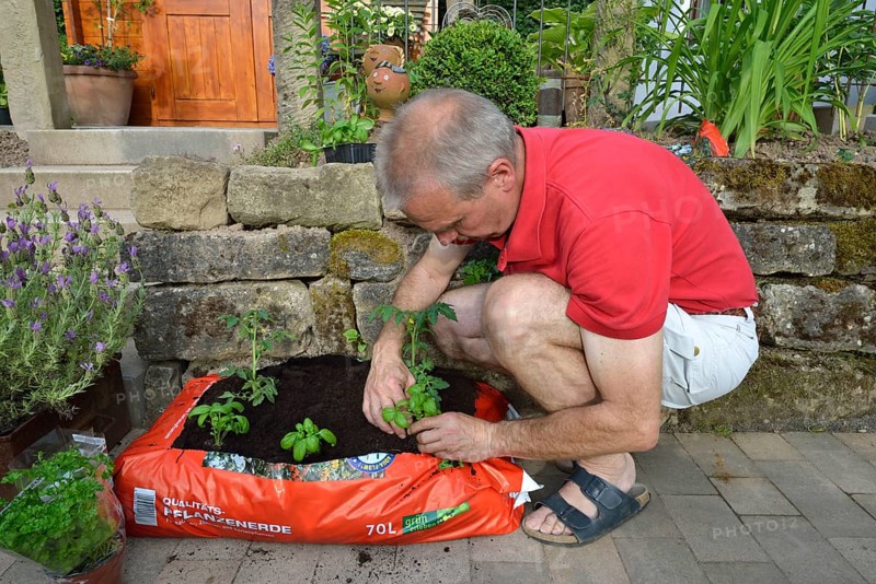 Planting bag with potting soil