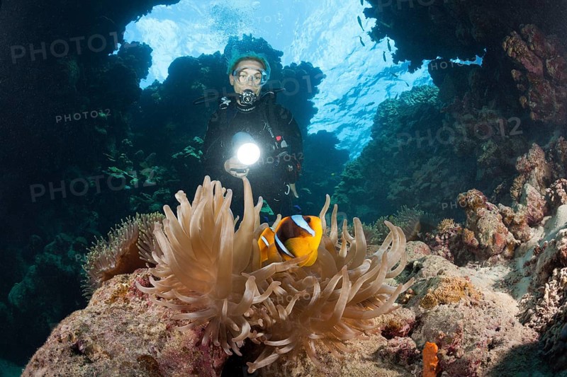Diver in underwater cave