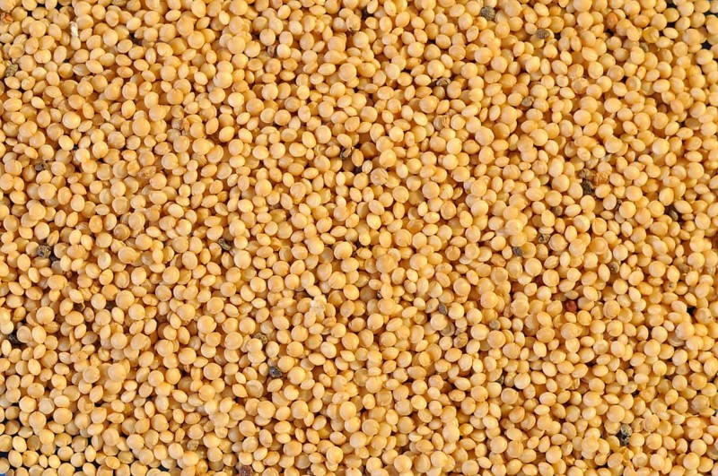 Amaranth