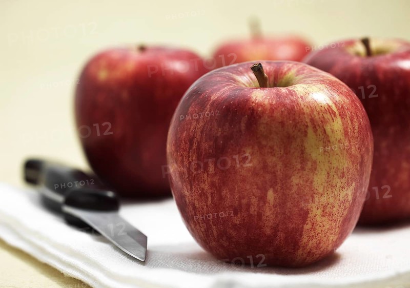 Malus domestica