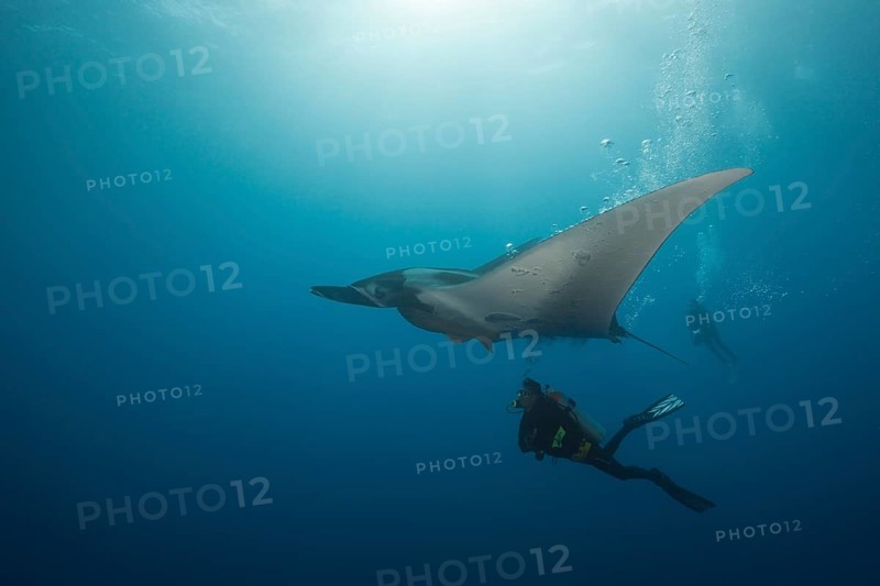 Scuba diver and