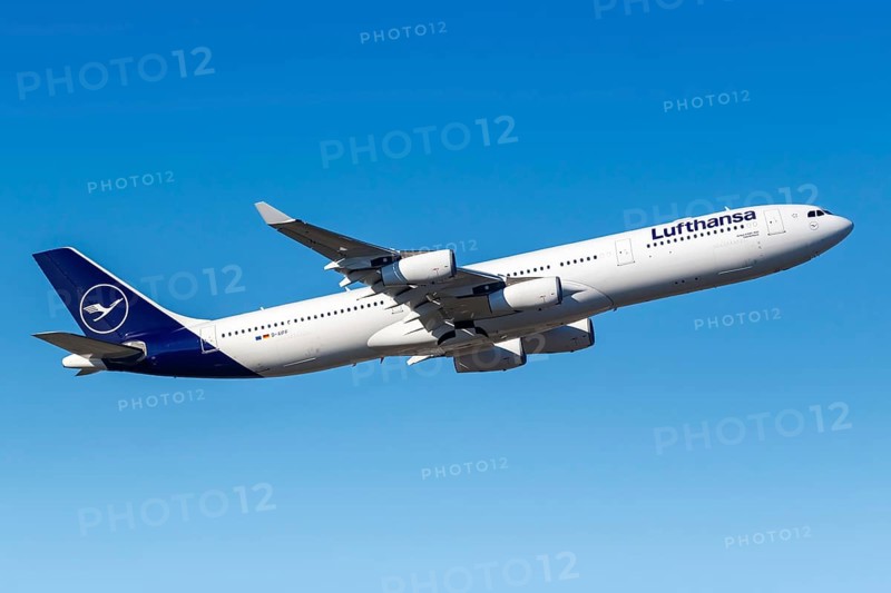 A Lufthansa Airbus A340-300 with the registration D-AIFF at Frankfurt Airport