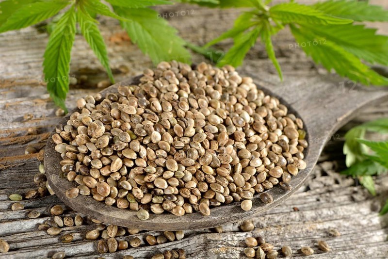 Ordinary hemp