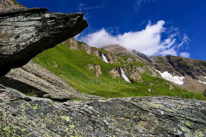 Mountain meadow