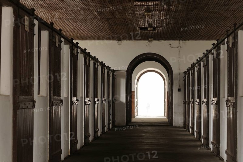 Main stallion stable